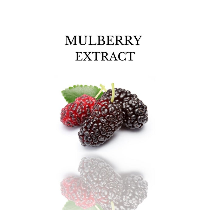 IZU Clarity Control Key Ingredient - Mulberry Extract (Morus Alba)