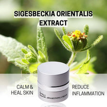 Load image into Gallery viewer, Awakening Cream (Skin Calming Moisturizer)