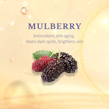 将图片加载到图库查看器,清晰度控制