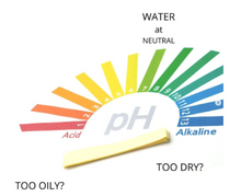 Load image into Gallery viewer, Deep Cleanser (pH Balanced Cleanser)