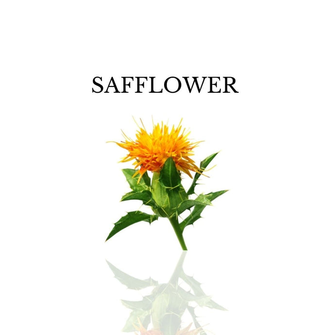 IZU Balanced Toner Key Ingredient - Safflower Extract