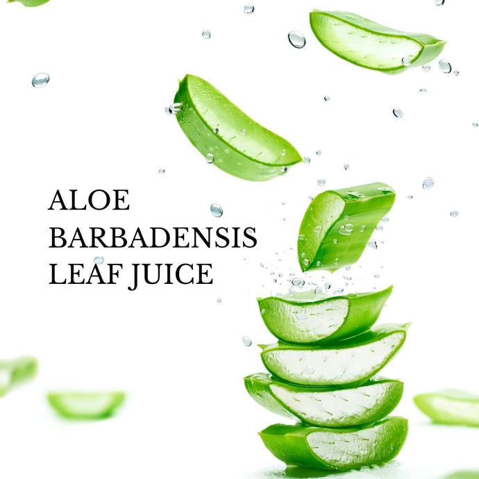 IZU Deep Cleanser Key Ingredient - Aloe Vera Barbadensis Leaf Juice